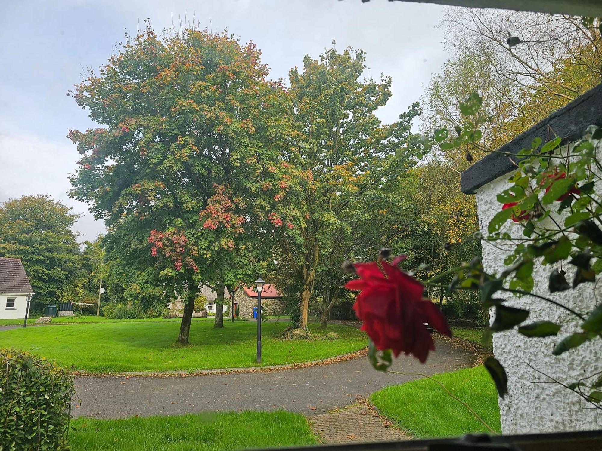 Longford Holiday Red Rose Self Catering Cottage المظهر الخارجي الصورة